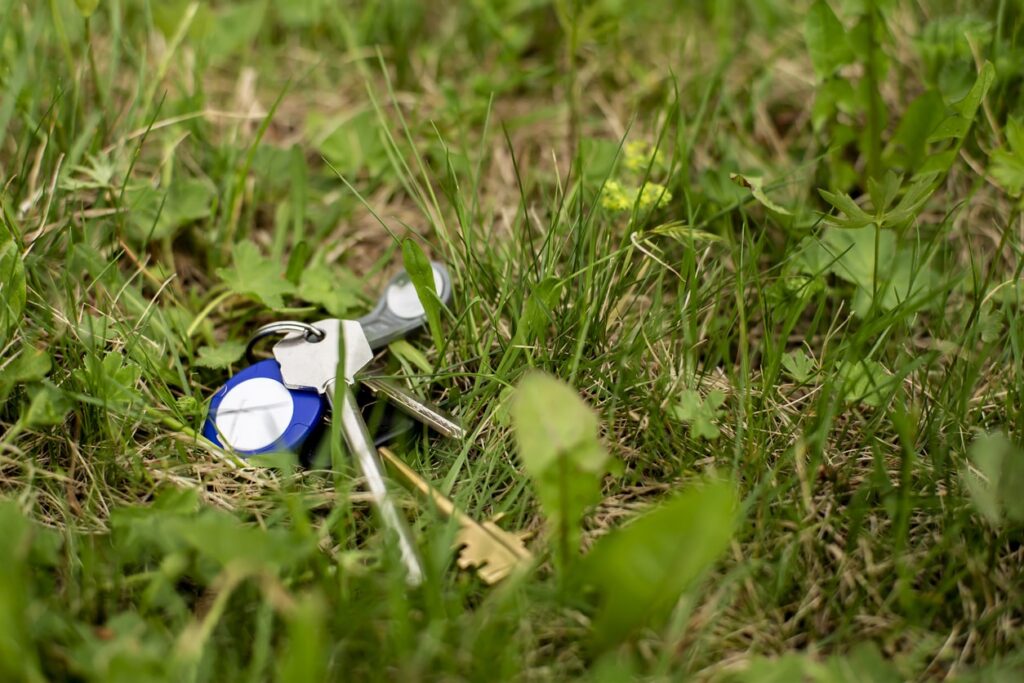 keys dropped in grass and concealed